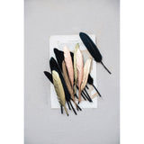 Boxed Feathers