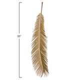 Long Palm Leaf